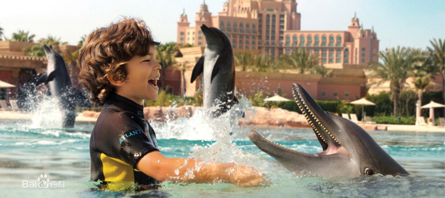 5ae2d93823d42.png 圖片5.png