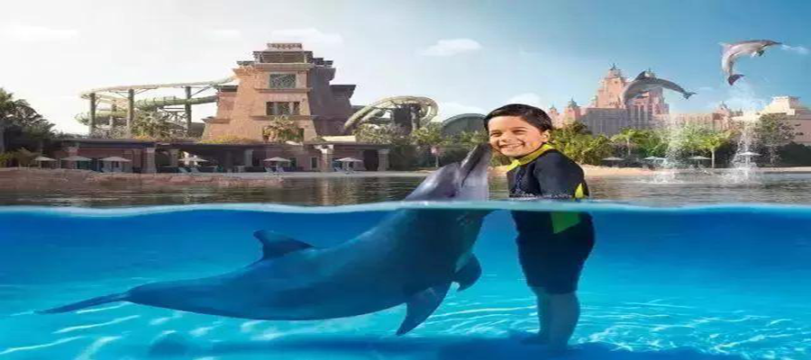 5ae2db48dbc3a.png 圖片14.png